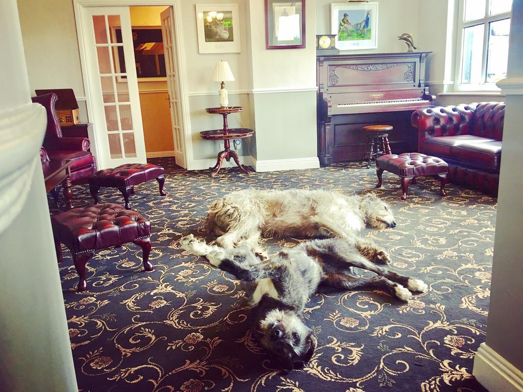 Milltown House Dingle Hotell Eksteriør bilde